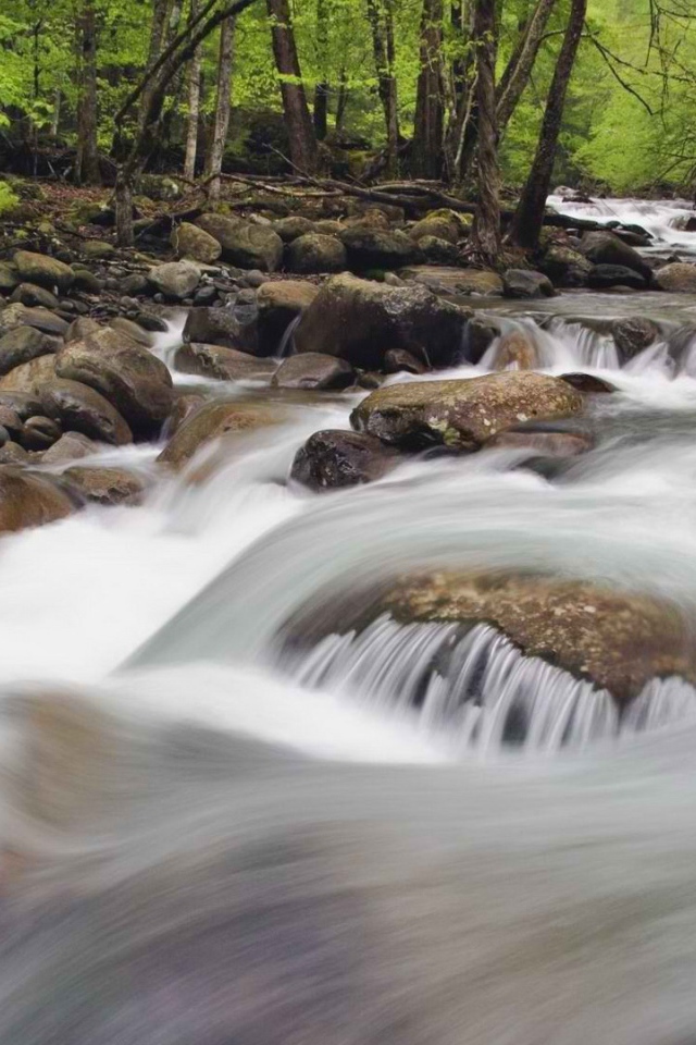 Национальный парк Теннессее