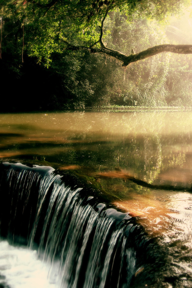 Заросшая река с водопадом