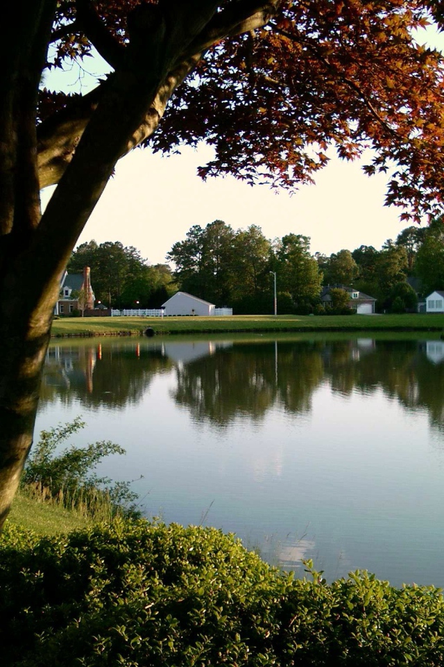 Тихий пруд в Германии