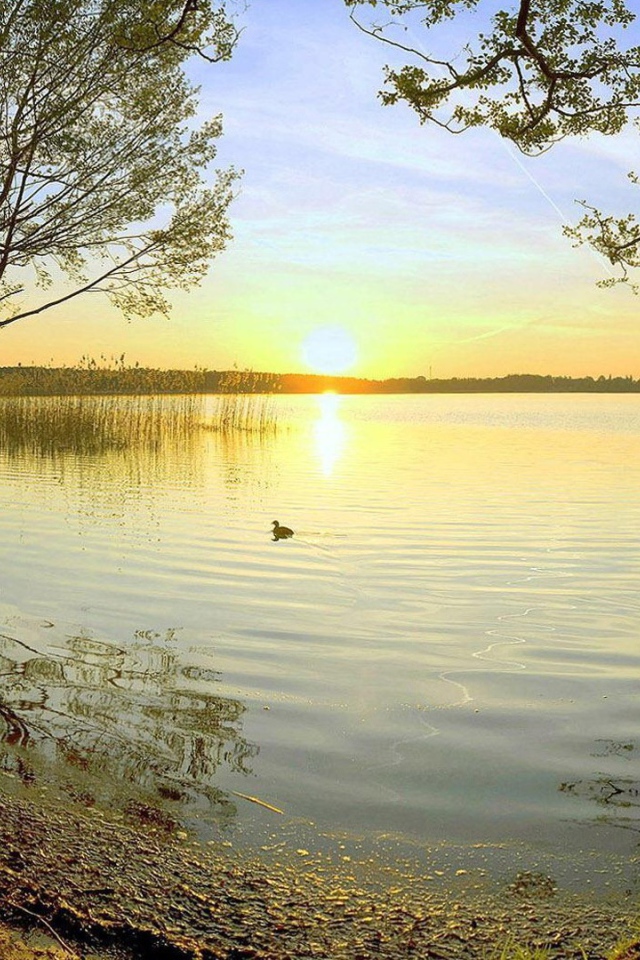 Закат на лесном озере