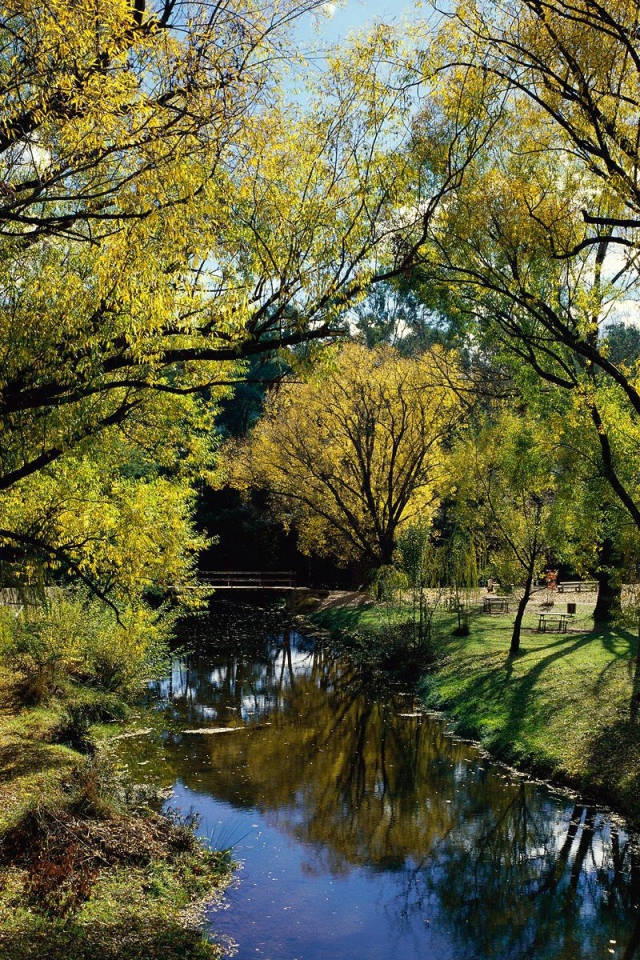 Австралийский пейзаж с рекой