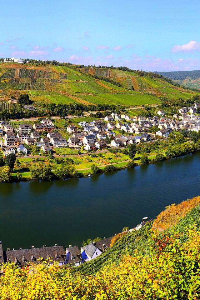 Город у реки