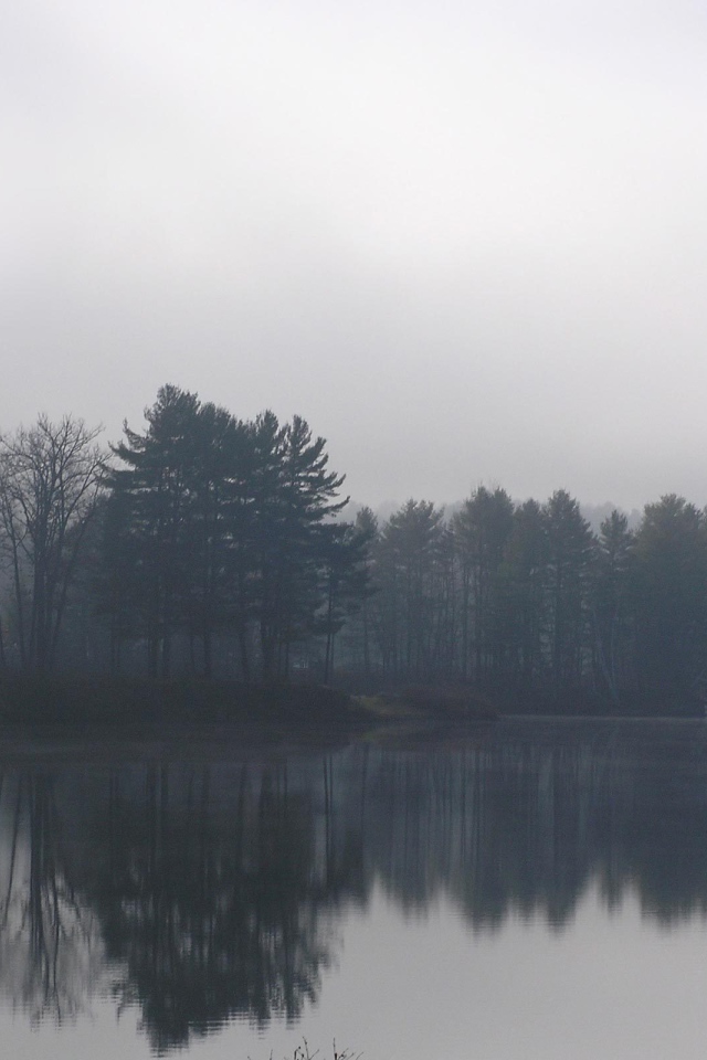 Озеро в туманное утро