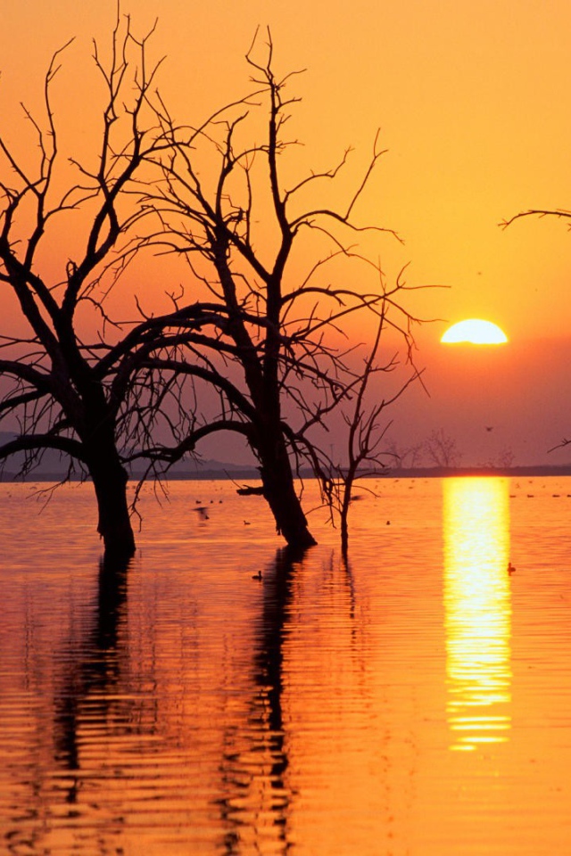 Весеннее половодье в Калифорнии