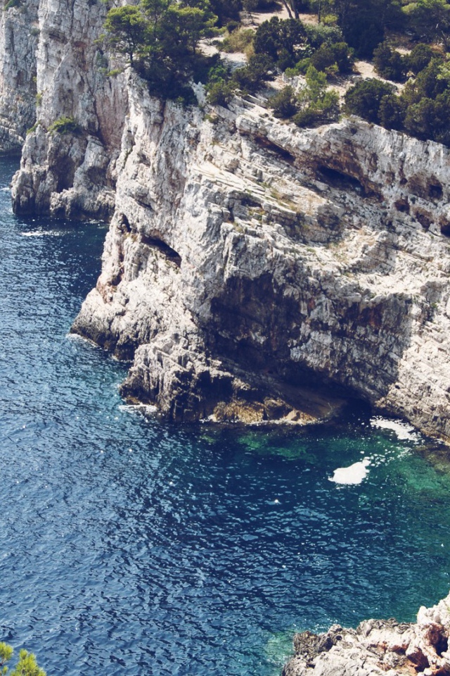 Обрывистый белый берег