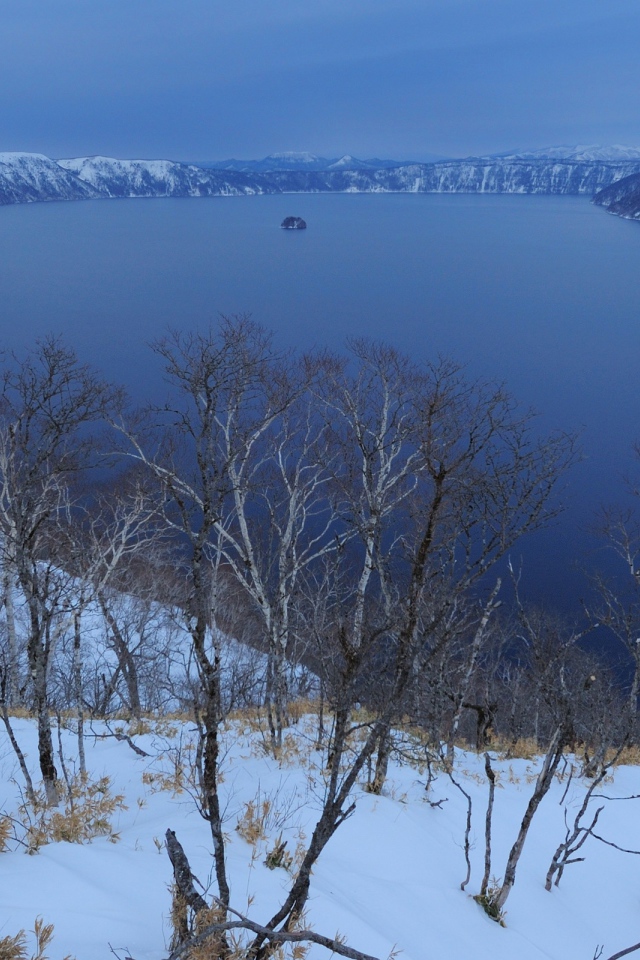 Дерево над морем