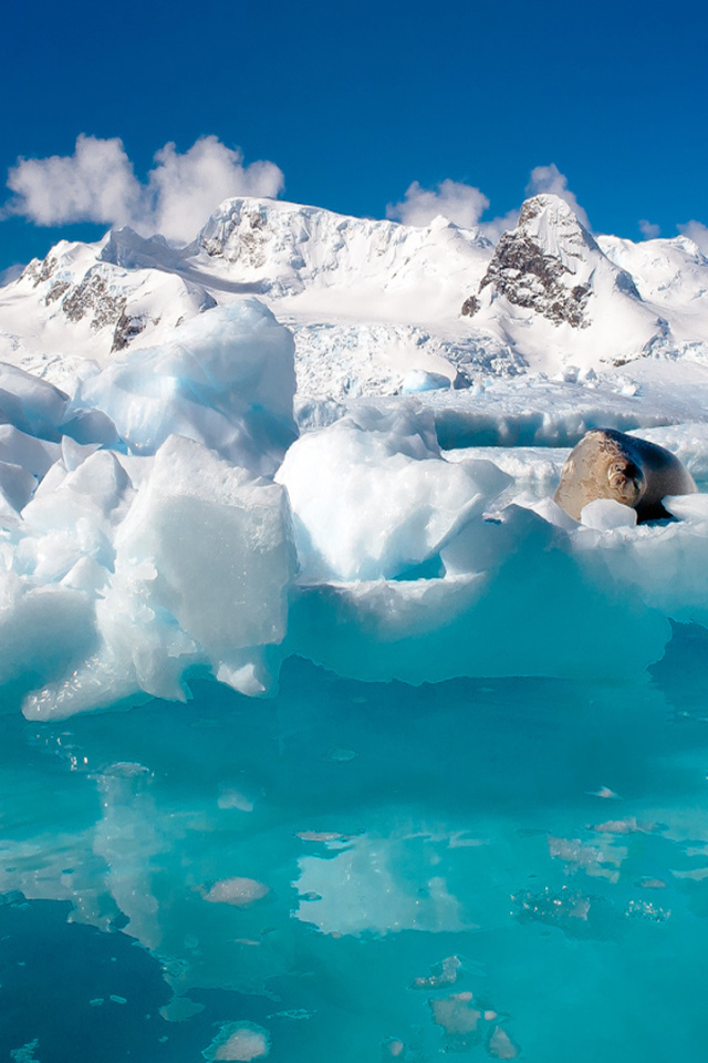 Вода и льды Антарктиды