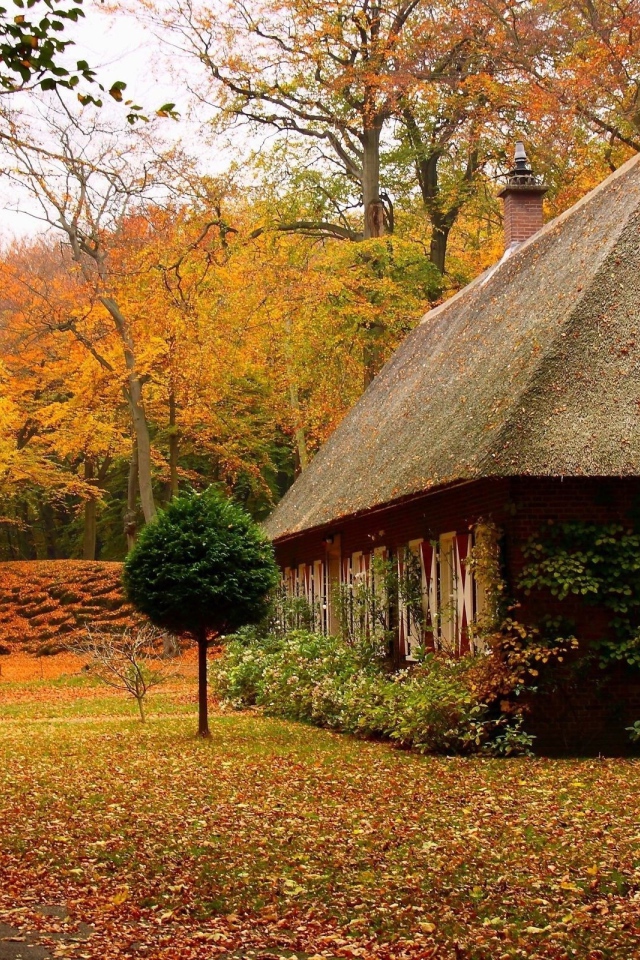 Little home in the autumns woods
