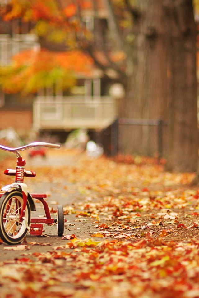Трехколесный велосипед в осеннем парке