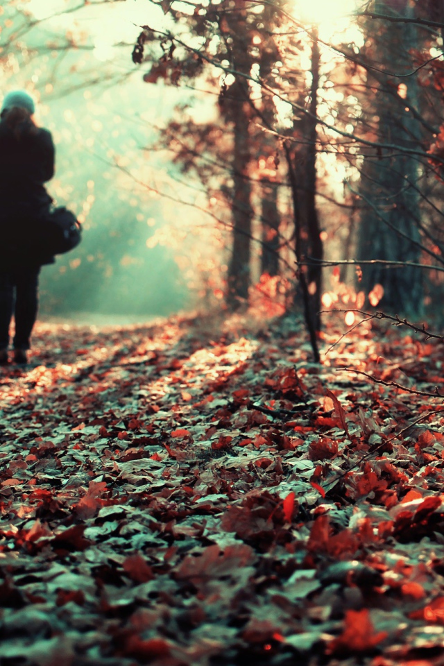 Прогулка в лесу осенью