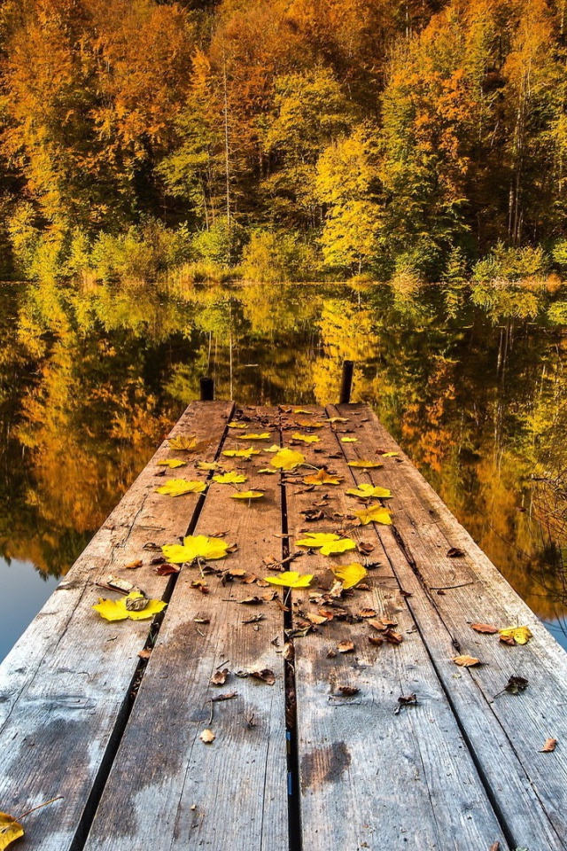 Желтые листья на мостике
