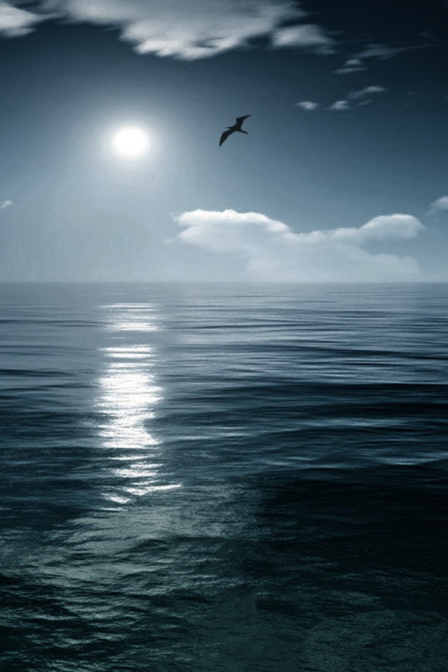 Птица летит на закате