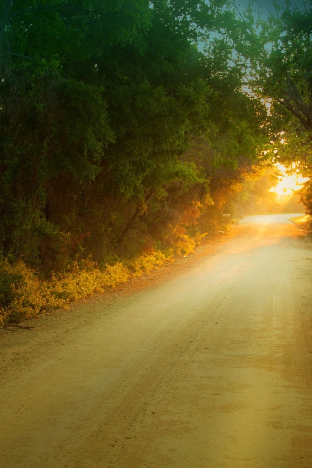 Солнце в дорожном просвете