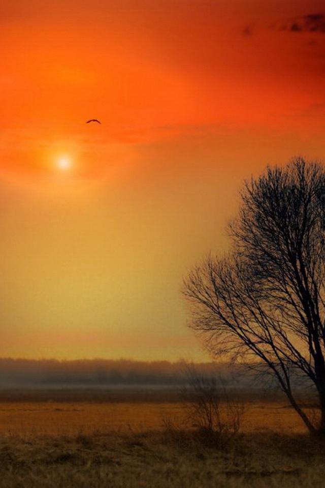 Красочный закат над полем