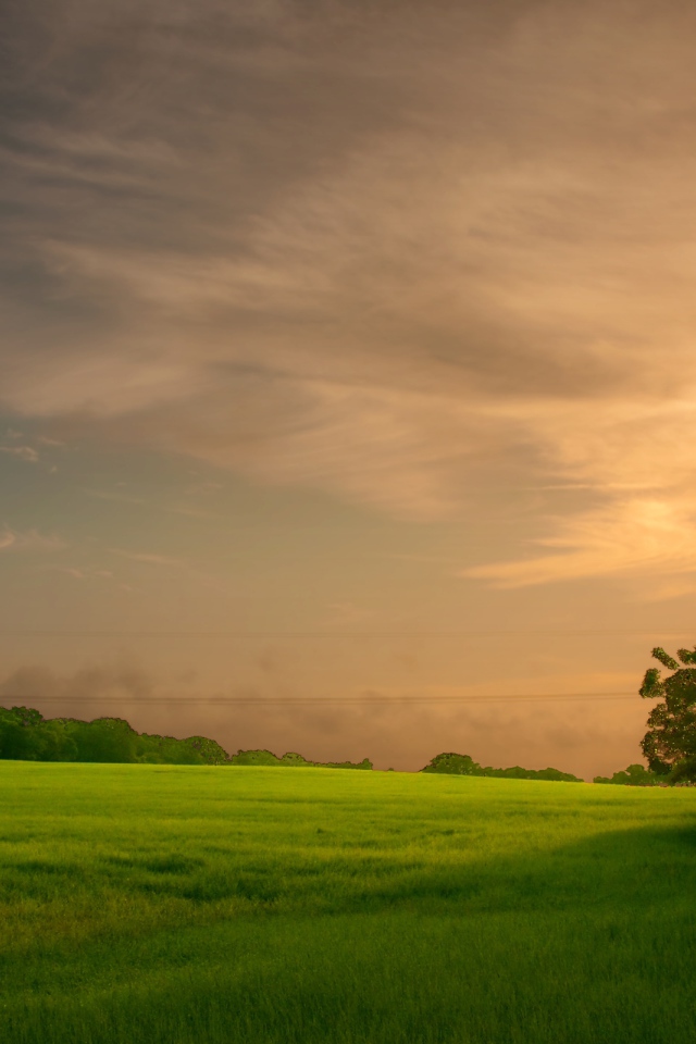 Закат на зеленом поле