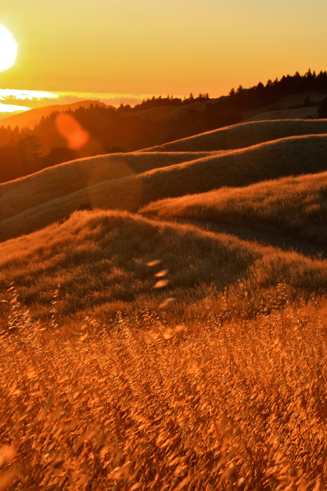 Закат в Калифорнии