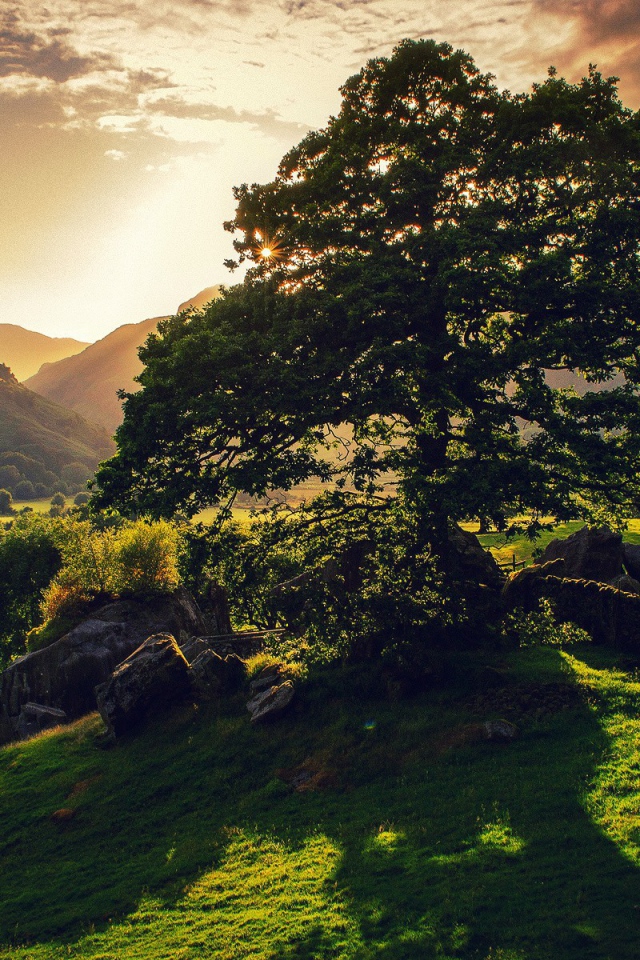 Закат в долине