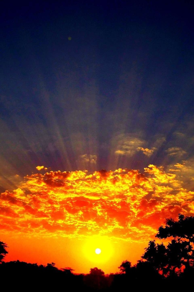 Лучи солнца