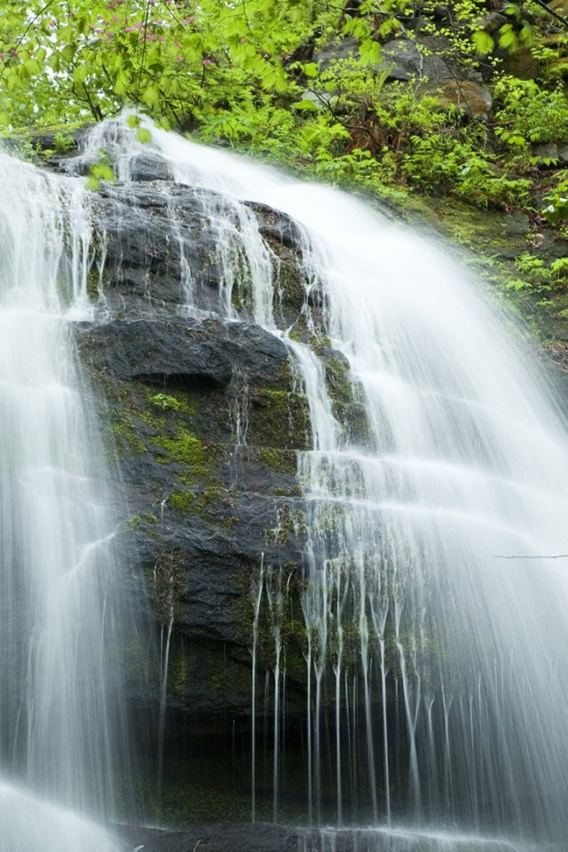 Каскадный водопад в Японии