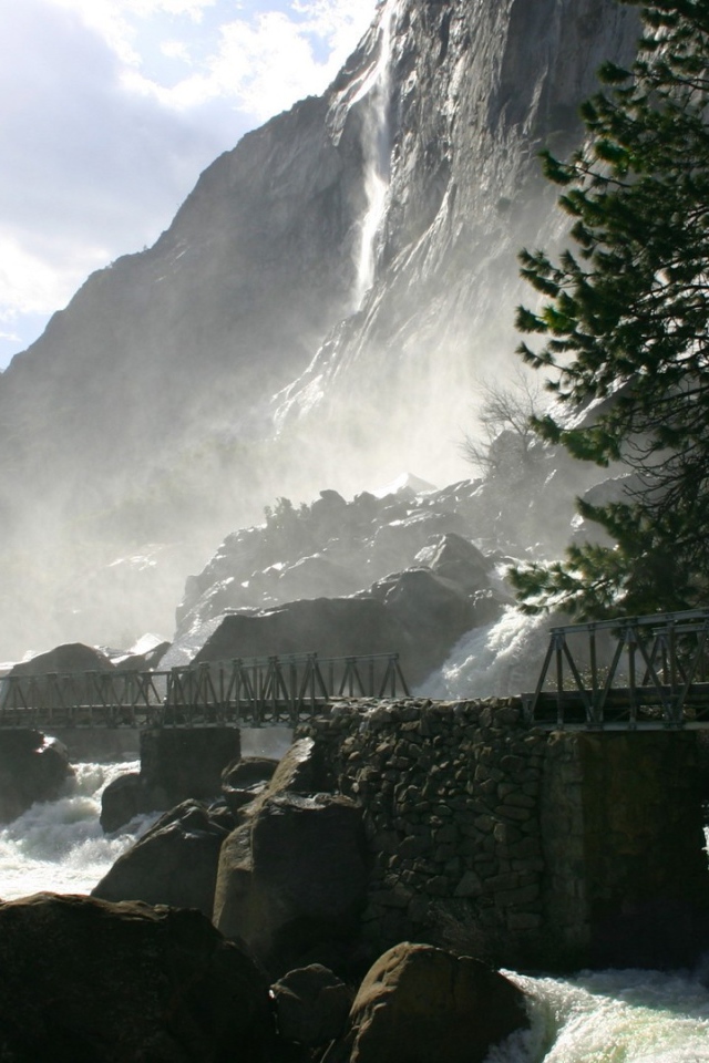 Одинокая сосна у водопада