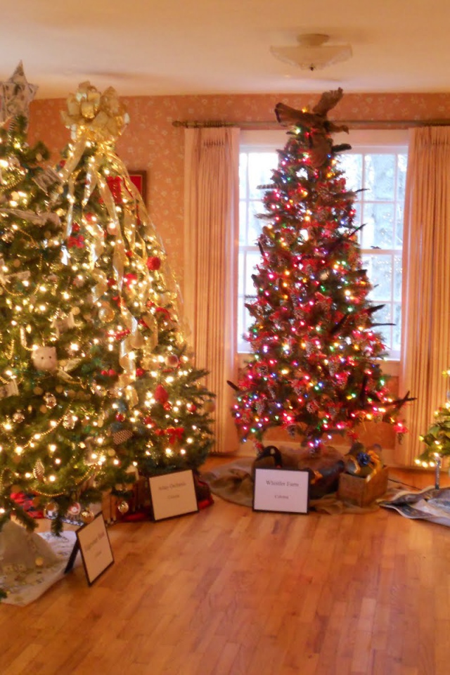 Много новогодних елок