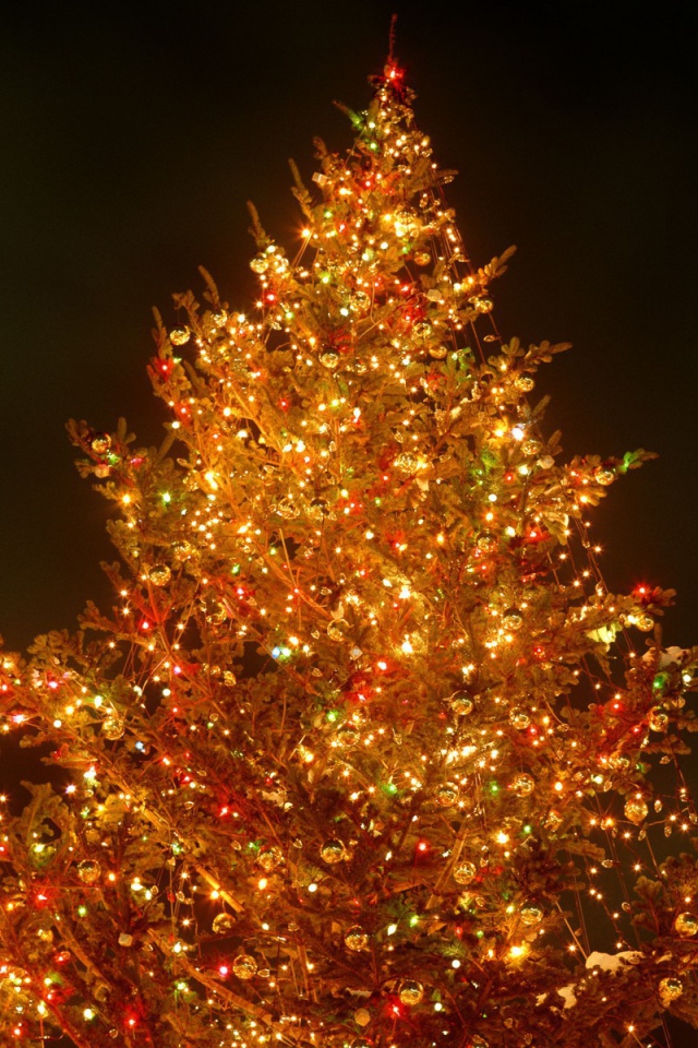 Яркая Новогодняя елка