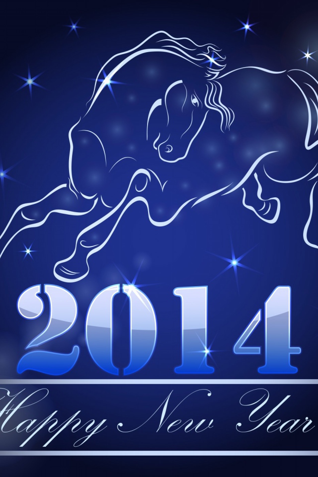 Встреча Нового 2014 Года