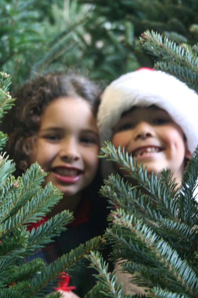 Дети у новогодней елки 2014