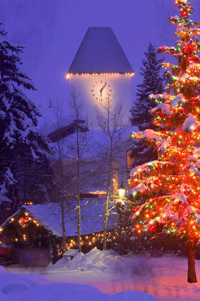 Елка на Новый Год 2014