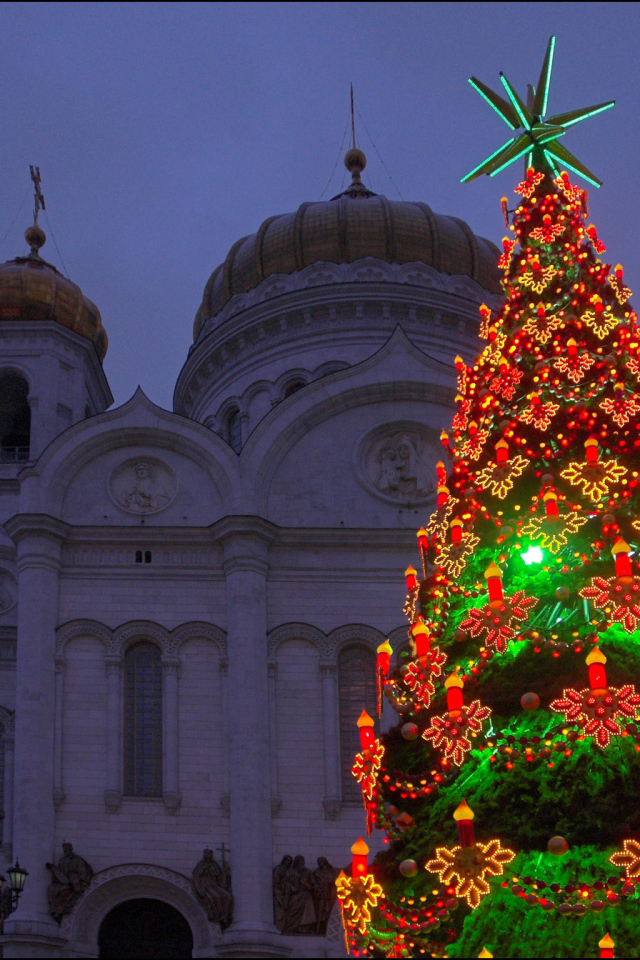 Новогодняя ёлка в царицыно 2014