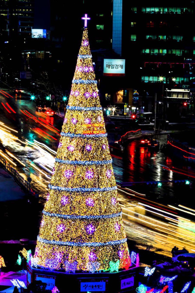 Новогодняя елка в олимпийском 2014