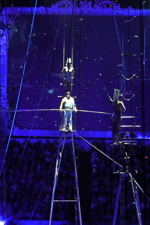 Цирк деда мороза в олимпийском