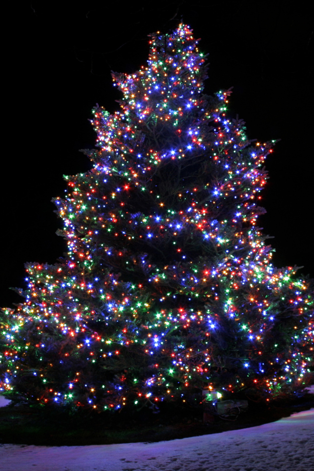 Красочная Новогодняя елка