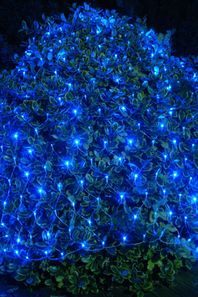 Гирлянда сеть