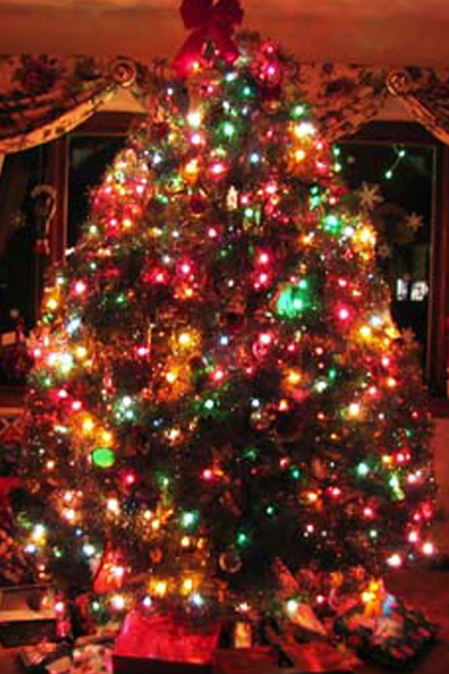 Огромная Новогодняя елка