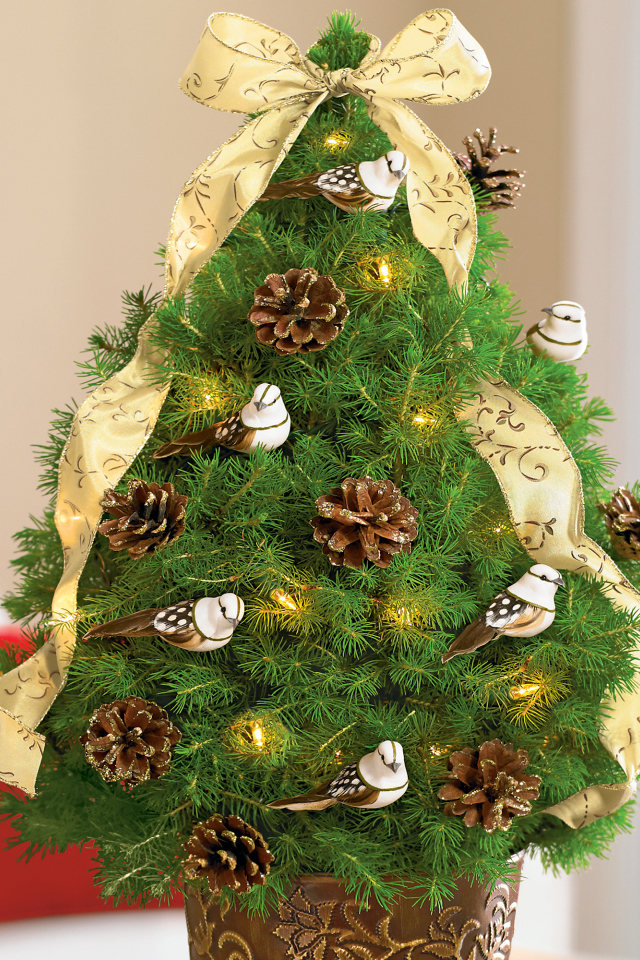   Маленькая Новогодняя елка