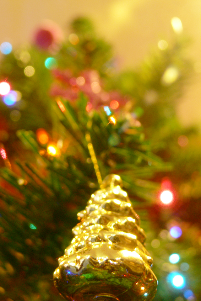 Новогодняя елка в ярких огнях