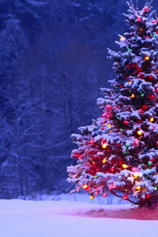 Новогодняя елка 2014 в год лошади