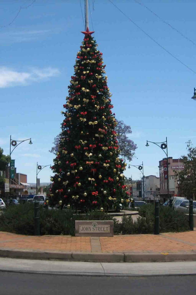 Новогодняя елка в Америке