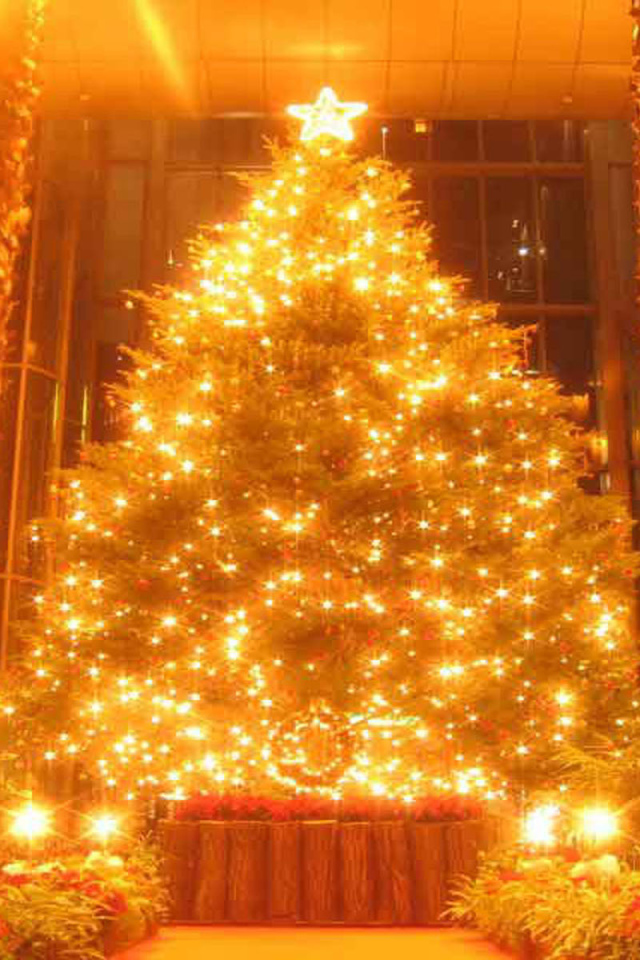 Новогодняя елка в поразительной картине