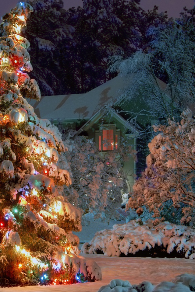 Новогодняя елка в ночном лесу