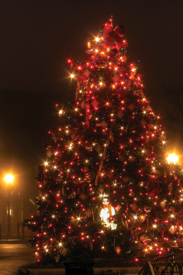 Новогодняя елка в провинциальном городе