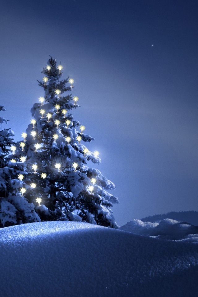 Новогодняя елка в ночи