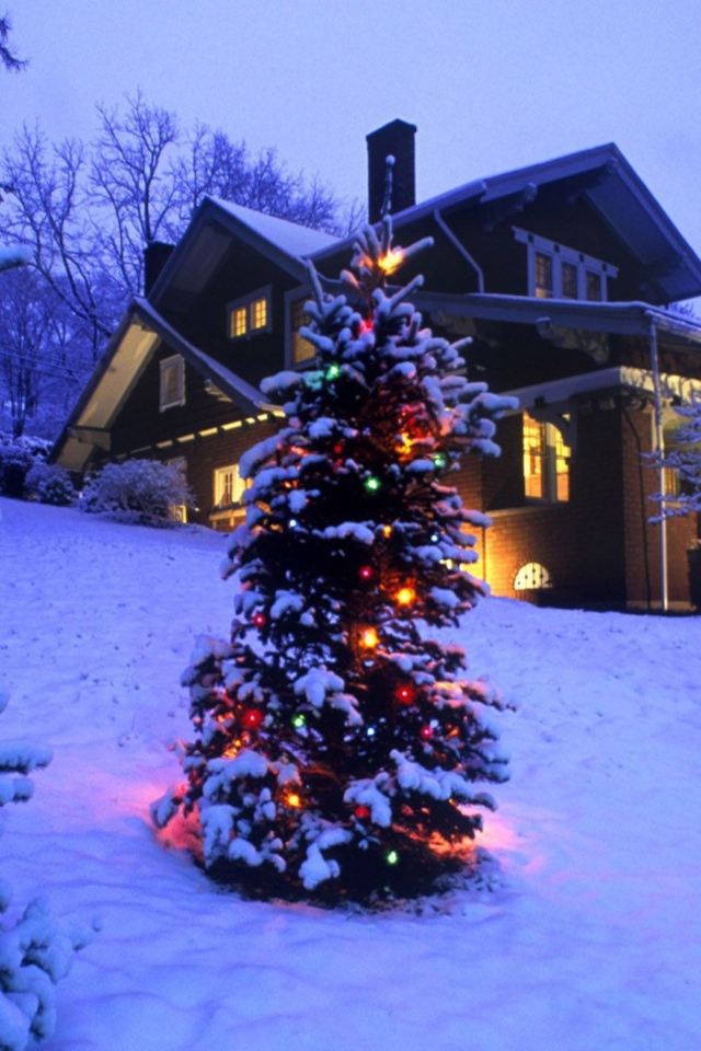 Новогодняя елка в зимнем лесу