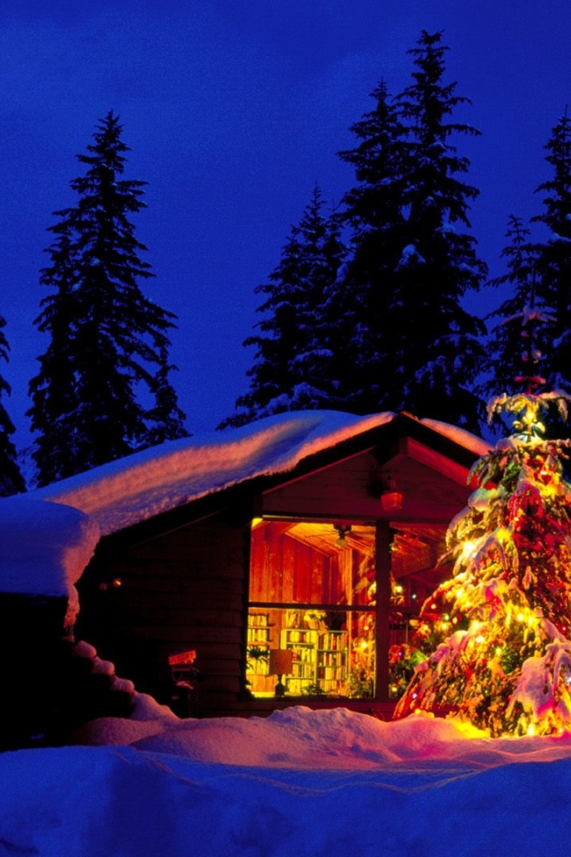 Новогодняя елка возле лесной хижины