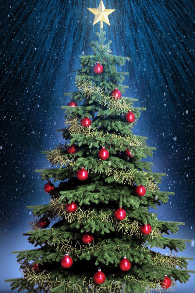 Новогодняя елка под светом звезды