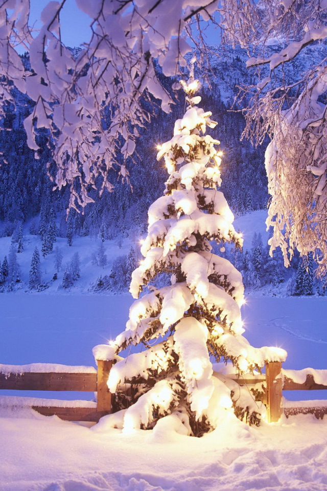 Новогодняя елка под снегом