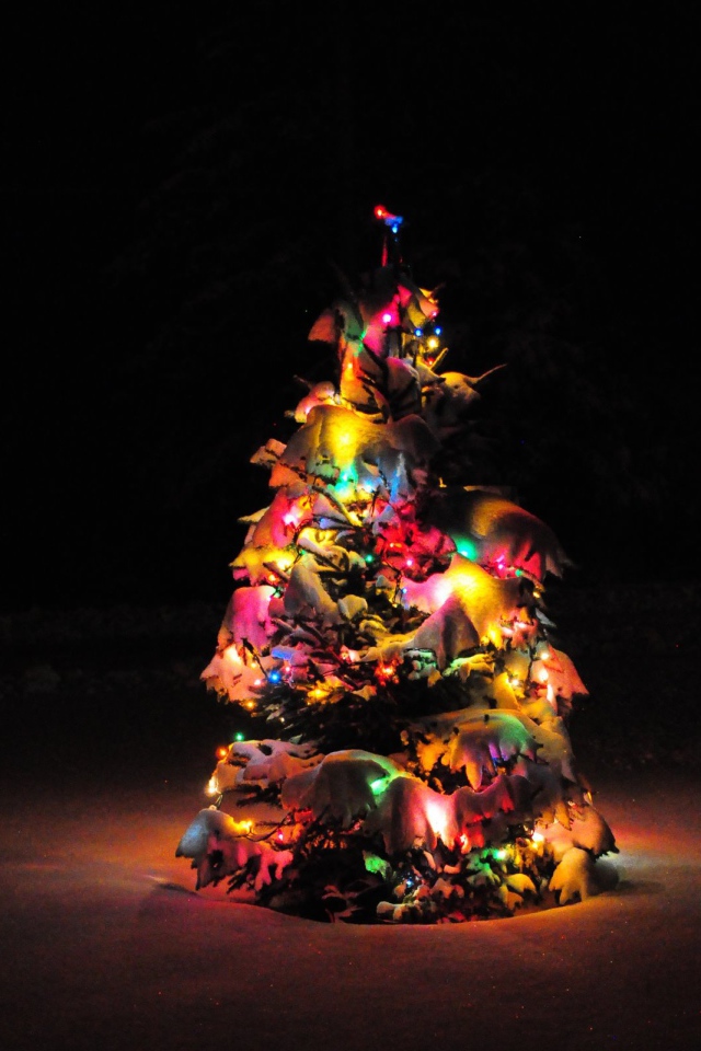 Наша маленькая Новогодняя елка