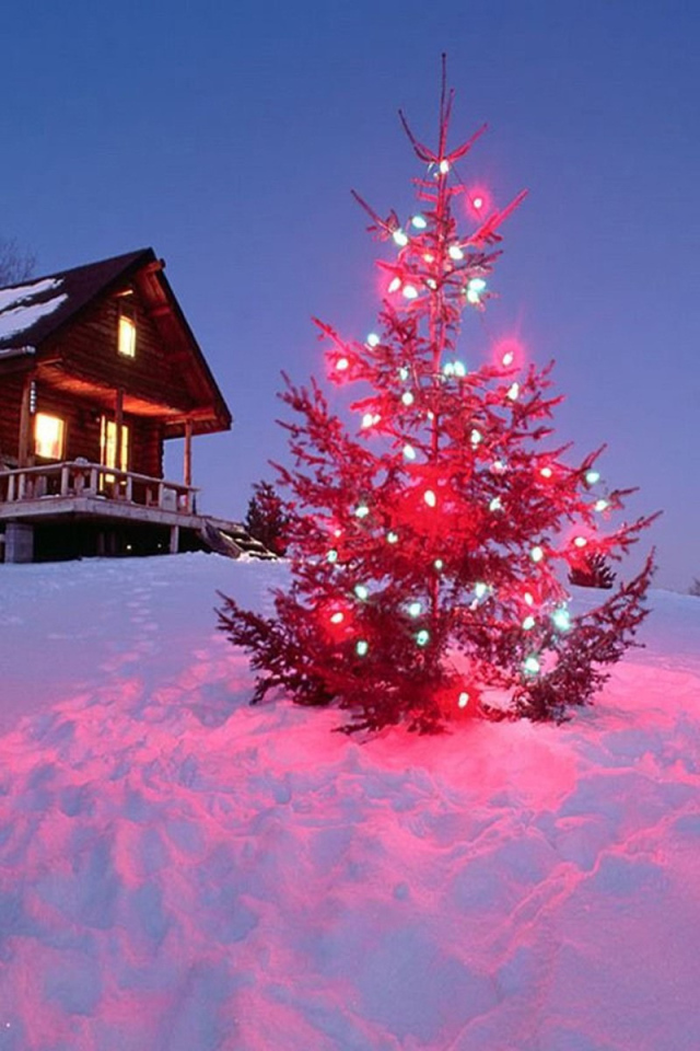 Колючии иголки на новогодней елке