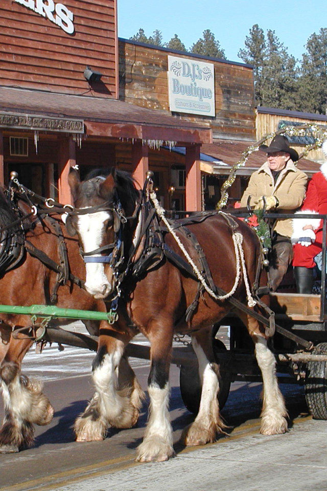  Шведский дед мороз